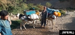 The Taliban forcefully displaced hundreds of ethnic Hazara families from Daikundi's Gizab district last year.
