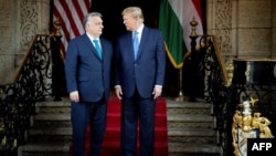 Hungarian Prime Minister Viktor Orban (left) and former U.S. President and Republican presidential candidate Donald Trump meet in March at Trump's Mar-a-Lago residence in Palm Beach, Florida.