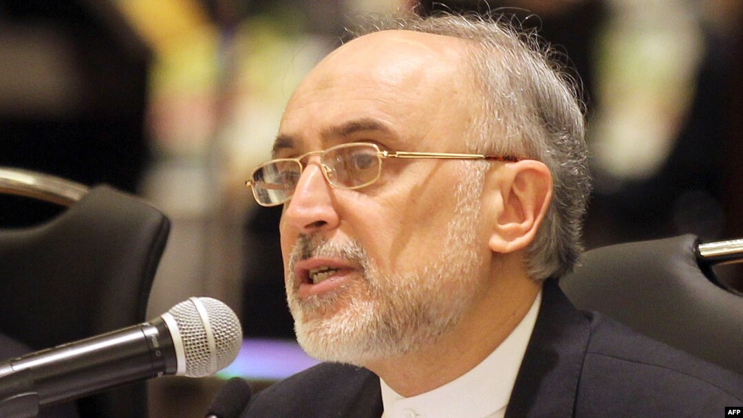 علی اکبر صالحی، رييس سازمان انرژی اتمی ایران